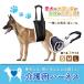 �� ���p�n�[�l�X ��둫 �� ���^�� �ȒP ������� �V�� ��� �p�i �E���Ȃ� ���x���g ���s�T�|�[�g��� �֘A�摜2