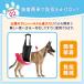 �� ���p�n�[�l�X ��둫 �� ���^�� �ȒP ������� �V�� ��� �p�i �E���Ȃ� ���x���g ���s�T�|�[�g��� �֘A�摜4