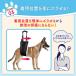 �� ���p�n�[�l�X ��둫 �� ���^�� �ȒP ������� �V�� ��� �p�i �E���Ȃ� ���x���g ���s�T�|�[�g��� �֘A�摜5