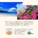 ���ꂻ�� ���� 8�l�O 8�H 4�� �Z�b�g �������� ���� ���� �퉷�ۑ� �}���^�P �}���^�P�H�i ����y�Y �I���I���r�[�� orion �֘A�摜2