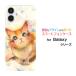 �X�}�z�P�[�X Galaxy A25 5G SC-53F SCG33 SM-A253 �n�[�h�P�[�X/TPU�\�t�g�P�[�X �˂��i�R���������j F:chocalo �f�U�C�� �l�R �� �C���X�g ���� �ӂ�ӂ�