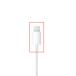 ���g�p�i  �C���z�� iPhone���i �����C���z��/�A�b�v�� �L���C���z/ �{�̕t���i EarPods with Lightning Connector iPhone �֘A�摜3