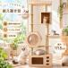 кошка tower .. класть башня для кошки из дерева прозрачный космический корабль модный большой высота 171.5cm симпатичный .. дом выставка . шт. кошка bed безопасность безопасность товары для домашних животных много голова .. кошка кошка house 