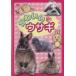  кейс нет :: симпатичный заяц прокат б/у DVD