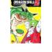  кейс нет ::DRAGON BALL Z Dragon Ball Z #13 прокат б/у DVD