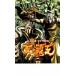  кейс нет :: Ken, the Great Bear Fist Raoh вне . небо. .. 2 прокат б/у DVD