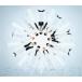 ������̵::Snow Mania S1 �̾��� ��󥿥���� ��� CD