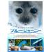  голубой * Journey [ субтитры ] прокат б/у DVD