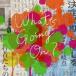 ̵::Whats Going On? ̾ 󥿥 DVD̵  CD