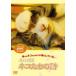  кейс нет :: домашнее животное различные предметы кошка ... поэзия б/у DVD