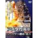 America военно-морской флот si- энергия. история . реальный сила б/у DVD