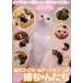  кейс нет :: кошка Cafe Karl выше Cafe. кошка Chan .. прокат б/у DVD