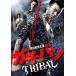  кейс нет ::[ есть перевод ]gachi van TRIBAL * диск только прокат б/у DVD