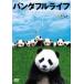  Panda Furla if прокат б/у DVD