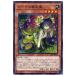 [trc-4585] š ͷOCG ǥ奨󥹥 ʤ LIOV LIOV-JP016