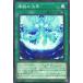 [trc-4902] š ͷOCG ǥ奨󥹥 η賦 TW01 TW01-JP100