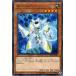 [trc-5469] š ͷOCG ǥ奨󥹥 ӥåȥ롼ѡ EXFO EXFO-JP005