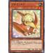 [trc-5476] š ͷOCG ǥ奨󥹥 ץΥɥ DBWS DBWS-JP014