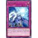 [trc-5524] š ͷOCG ǥ奨󥹥 ƳѴ EXFO EXFO-JP073 R