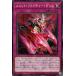 [trc-5539] š ͷOCG ǥ奨󥹥 ȡե饯㡼 DBVS DBVS-JP011