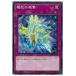 [trc-5558] š ͷOCG ǥ奨󥹥 ߶ DBSS DBSS-JP013