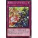 [trc-5658] š ͷOCG ǥ奨󥹥 ٤Υƥɥ饹 DBVS DBVS-JP045
