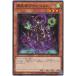 [trc-5817] š ͷOCG ǥ奨󥹥 Ĵե饤٥ DBGC DBGC-JP037