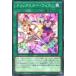 [trc-6293] š ͷOCG ǥ奨󥹥 ȥåե DP29 DP29-JP050