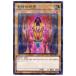 [trc-6365] š ͷOCG ǥ奨󥹥  SLT1 SLT1-JP027 NP