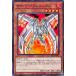 [trc-7437] š ͷOCG ǥ奨󥹥 Сե˥å SD41 SD41-JP012
