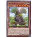 [trc-7598] š ͷOCG ǥ奨󥹥  ԥݥ˥ DAMA DAMA-JP022