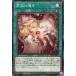 [trc-8544] š ͷOCG ǥ奨󥹥  INFO INFO-JP060