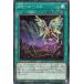 [trc-8639] š ͷOCG ǥ奨󥹥 RR-롼 PHNI PHNI-JP057