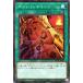 [trc-8847] š ͷOCG ǥ奨󥹥 ݥ DBTM DBTM-JP042