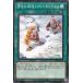 [trc-8948] š ͷOCG ǥ奨󥹥 㷣ɤҤȤĤޤҤȤ LEDE LEDE-JP070