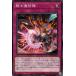 [trc-9006] š ͷOCG ǥ奨󥹥 ɿ DBVS DBVS-JP023