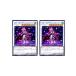 [trc-17400] š ͷOCG ǥ奨󥹥 ե롼롦ɡꥨ DP25 DP25-JP031 2祻å
