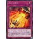 [trc-18399] š ͷOCG ǥ奨󥹥 ʬ POTE POTE-JP070