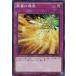 [trc-18748] š ͷOCG ǥ奨󥹥 ˱ SPFE SPFE-JP045