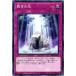 [trc-18989] š ͷOCG ǥ奨󥹥 ۤθ SR05 SR05-JP032