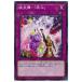 [trc-23422] š ͷOCG ǥ奨󥹥 ˱-ä͡ WPP1 WPP1-JP053