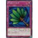 [trc-23740] š ͷOCG ǥ奨󥹥 ŷΤ 15AX 15AX-JPY56
