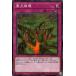 [trc-23959] š ͷOCG ǥ奨󥹥  DBVS DBVS-JP030