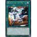 [trc-24647] š ͷOCG ǥ奨󥹥 ΥåT DP17 DP17-JP043