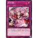 [trc-24836] ����š� ͷ����OCG �ǥ奨���󥹥����� ����Υ�� SD46 SD46-JP040