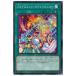 [trc-25097] š ͷOCG ǥ奨󥹥 ᥤȡڥ륷硼 LIOV LIOV-JP057