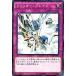[trc-25541] š ͷOCG ǥ奨󥹥 ߥå֥쥤 SD28 SD28-JP036