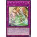 [trc-25569] ����š� ͷ����OCG �ǥ奨���󥹥����� �ꥶ�쥯����󡦥֥쥹 DBGC DBGC-JP036