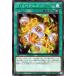 [trc-27080] š ͷOCG ǥ奨󥹥 Dڥ˥å DP27 DP27-JP017