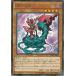 [trc-27784] š ͷOCG ǥ奨󥹥 DDꥹ SD30 SD30-JP008